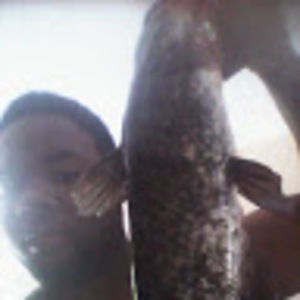 Meet your Posher, Eugene